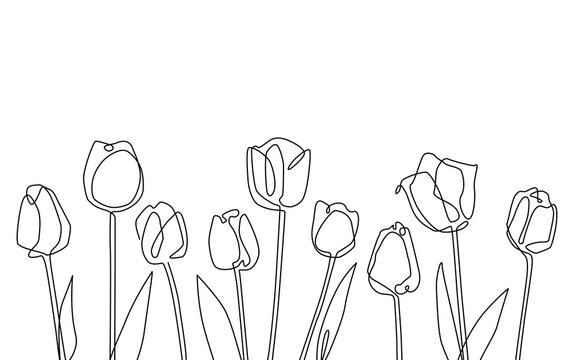 Background with hand drawn linear branches of tulips. Flowers border. Vector illustration.