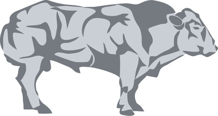 Belgian cattle bull - vector illustration