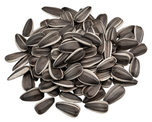 sunflower seed, isolated on white background, full depth of field