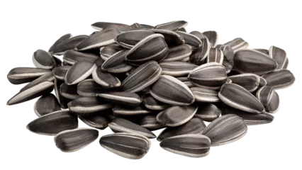 Foto op Plexiglas sunflower seed, isolated on white background, full depth of field © grey