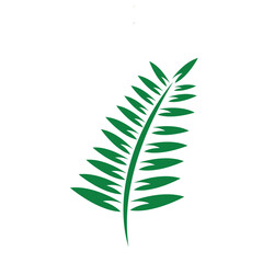 Fern logo icon