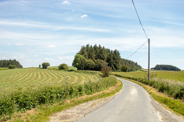 Fototapeta na wymiar Summertime country road scenery in England.