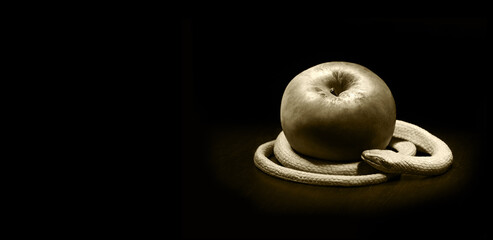 The snake lies near the apple