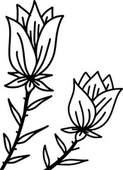 Hand Drawn Two Roses