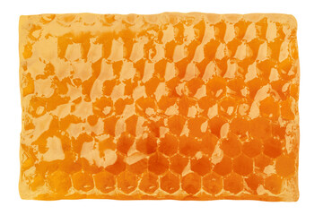 Honeycomb isolated on white background, clipping path, full depth of field
