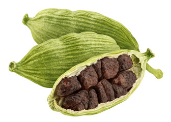 Cardamom isolated on white background, full depth of field