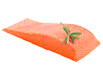 raw salmon, fish isolated on white background, full depth of field