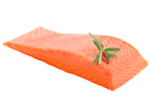 raw salmon, fish isolated on white background, full depth of field