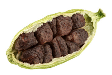 Cardamom isolated on white background, full depth of field