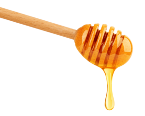 Honey dripping isolated on white background, clipping path, full depth of field