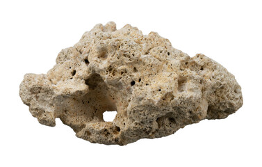 White sea stone isolated element