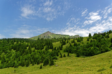 Fototapeta na wymiar Paysage de montagne en été