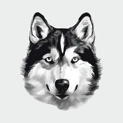Siberian Husky dog portrait, isolated vector illustration  © iwaart