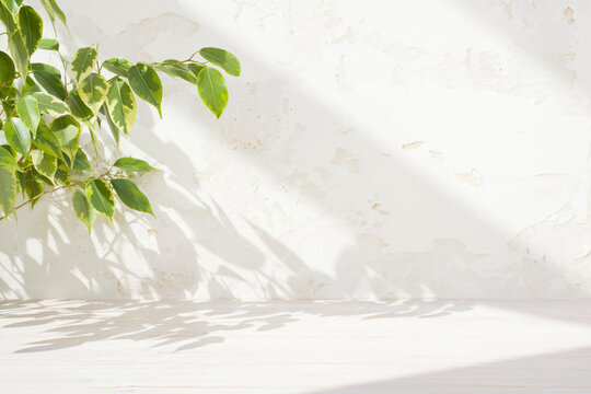 Wooden table background with empty space and ficus leaves shadows