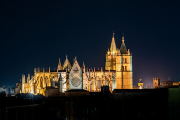 Catedral de León