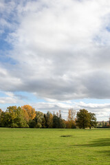 Autumn trees landscape.