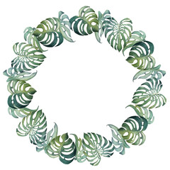 Hand drawn watercolor exotic green monstera leaves tropic foliage. Circle wreath frame. Isolated on white background. Design wall art, wedding, print, fabric, cover, card, tourism, travel booklet. © Elena