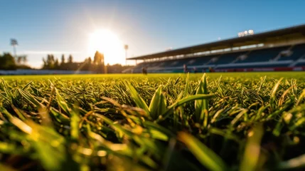 Fotobehang Pelouse d'un stade vue au ras du sol, soleil intense et tribune en arrière plan © Sébastien Jouve