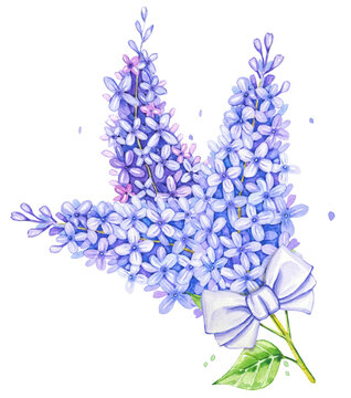 Watercolor bouquet of lilac flower with purple bow