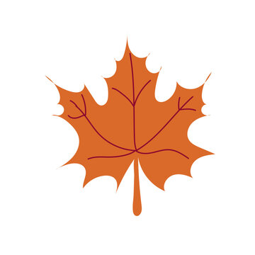 Autumn leaf. Autumn maple leaf isolated on a white background. Vector illustration. Flat style.