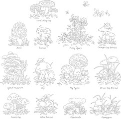 Cartoon set of forest mushrooms edible and inedible including the most widespread with names, black and white outline vector illustrations for a coloring book page