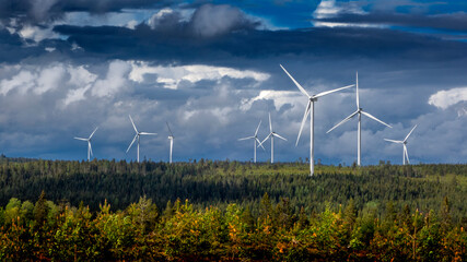 Wind farm and forest under clouds