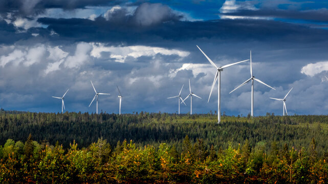 Wind farm and forest under clouds