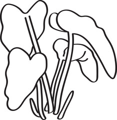 hand drawn side view of plant illustration