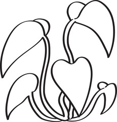 hand drawn side view of plant illustration