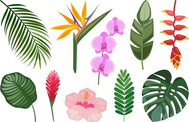 Tropical set of hand drawn flowers and leaves. Vector botanical illustration. - obrazy, fototapety, plakaty