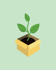 Plant sprout with leaves in a box. 