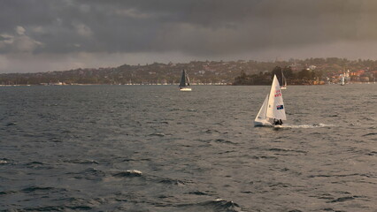 Raceboats sailing the waters around Shark Island on a hazy afternoon. Sydney Harbour-Australia-556