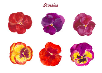 Pansies, red and yellow flowers, bloom , pansy , watercolor floral illustrations	