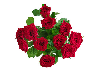 Obraz premium bouquet of red roses isolated on white