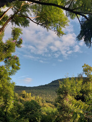 landscape in the mountains