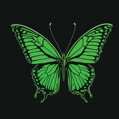 butterfly green