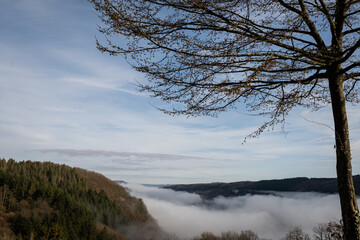 mosselle valley wine region in Germany filled with morning mist fog just after sunrise before the sun burns it off. dragons breath creates dreamy effect in natural beauty with perfect blue sky