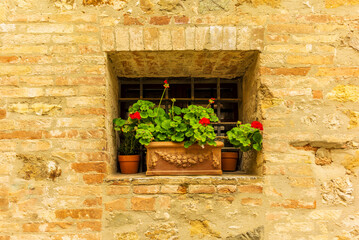 Fototapeta na wymiar A geranium pot on a small window in San Quirico d'Orcia in a sunny spring day