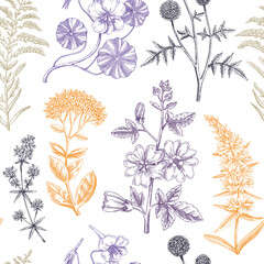 Hand drawn summer background. Garden flowering plants design in sketch style. Floral seamless pattern. Botanical illustrations for textile, fabric, packaging. Hibiscus, sedum, mallow, primrose.