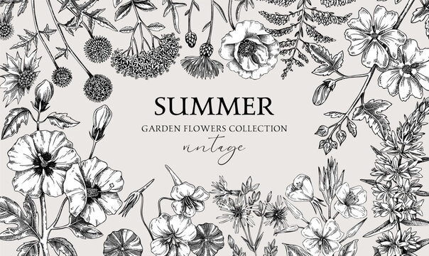 Vintage summer background. Garden flowers frame design in sketch style. Hand drawn botanical illustration. Floral banner for prints, cards, posters