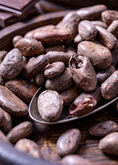 Cocoa beans selective focus
