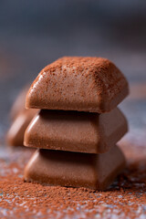 Chocolate pieces sprinkled with ground cocoa