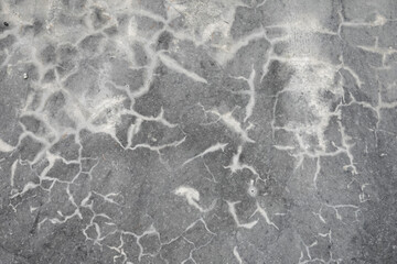 Sol en béton et traces de remontées capillaires