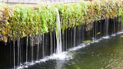 Série ou lignées de petites chutes ou coulées de fines d'eau, près d'une végétation de mur en...
