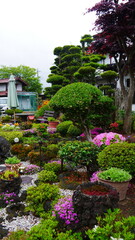 Jardin exotique, zen, coloré, avec des arbustes rouges et vert, style asiatique, bien entretenu et bien orné, plantation de fleurs exotiques, avec des arbustes bien taillées, effet d'éclairage Soleil,