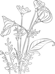 Flower Line Art Vol. 117