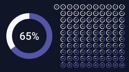 Circle percentage pie chart diagrams infographic from 0 to 100 numbers elements web design user interface UI UX