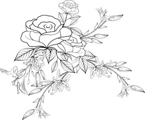 Flower Art Illustration Vol.2