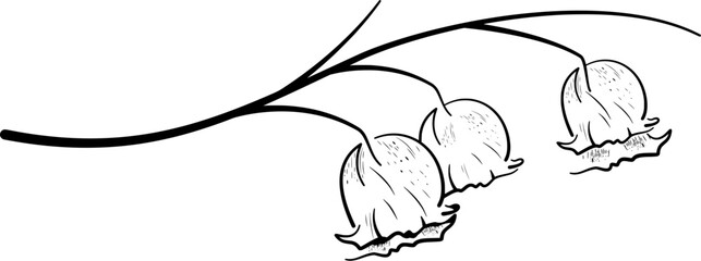 Flower Art Illustration Vol.15