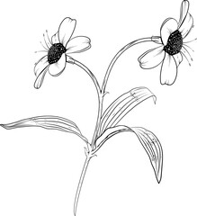 Flower Art Illustration Vol.9